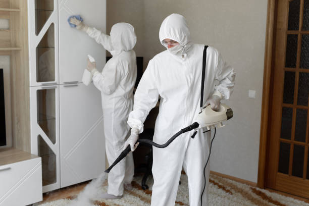 Attic Mold Removal in Lynwood, CA