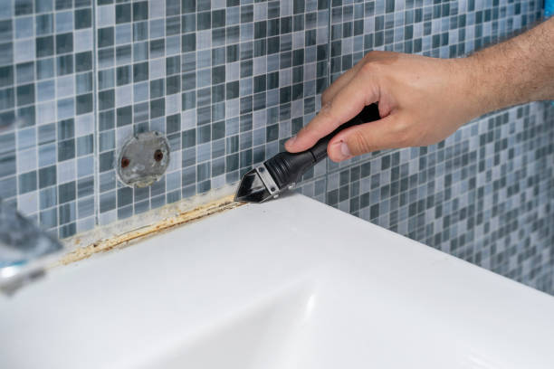 Best Office Mold Removal Services  in Lynwood, CA